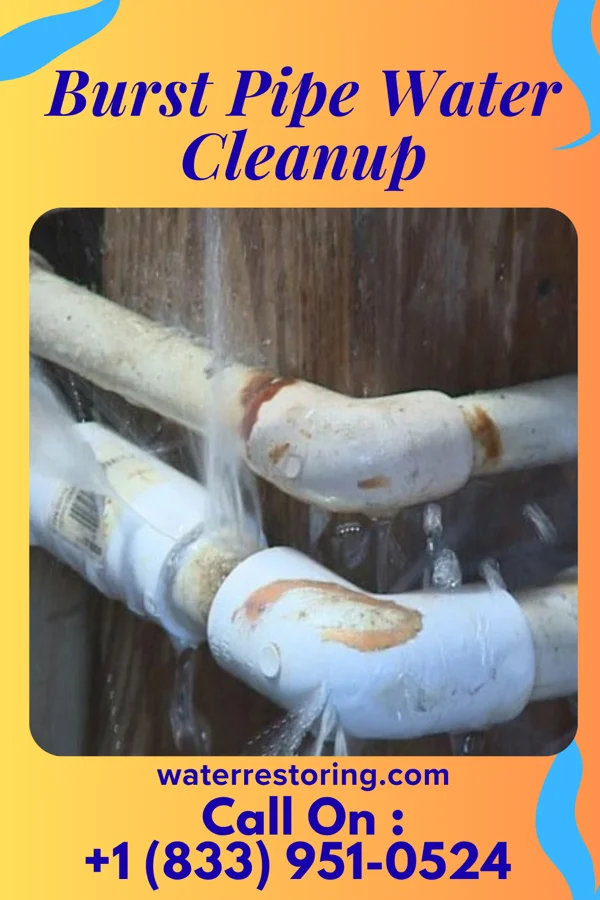 Burst Pipe Water Cleanup in Copperas Cove, TX