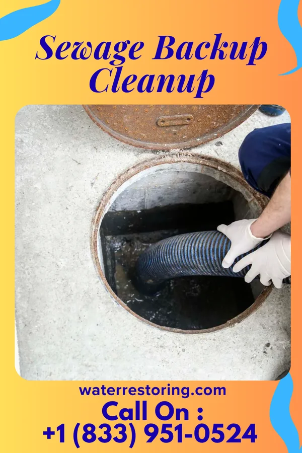 Sewage Backup Cleanup in Copperas Cove, TX